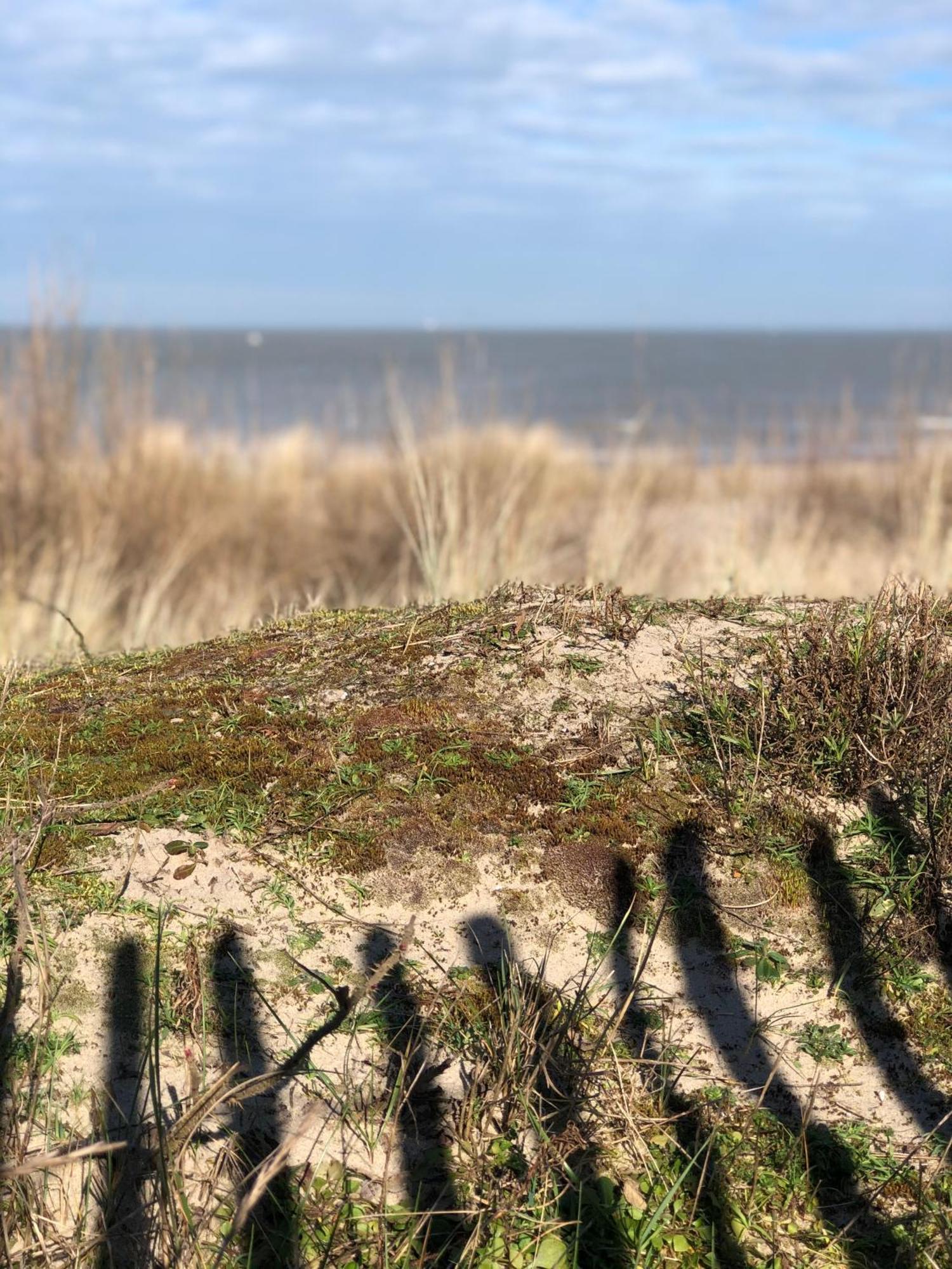 Appartement Gezellig Liva